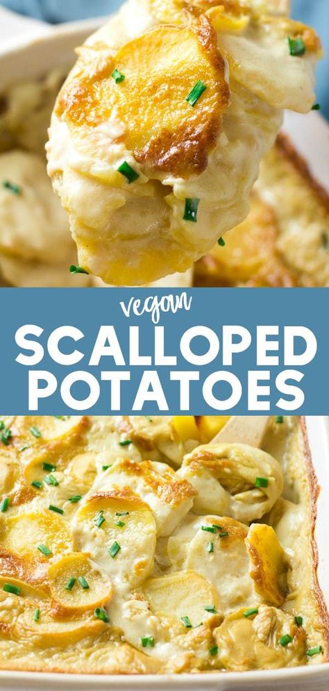 My favorite recipe for scalloped potatoes- ultra creamy, garlicky and cheesy with absolutely NO DAIRY! #vegan #dairyfree Butter Burger, Healthy Vegan Dessert, Vegan Scalloped Potatoes, Nora Cooks, Scalloped Potato Recipes, Vegan Thanksgiving Recipes, Breakfast Party, No Dairy, Scallop Recipes