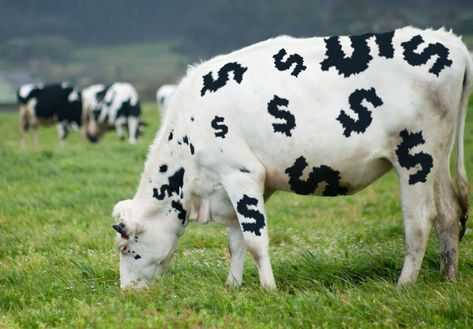 Value Stocks, Cow Tattoo, Cash Cow, Cow Parade, Bull Market, The Bull, Capital Market, Lots Of Money, Public Art