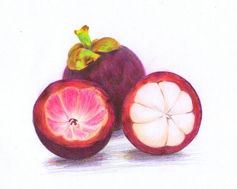 Mangosteen Drawing, Fruit Juice Brands, Fruits Drawing, Food Artwork, Colour Pencil, Fruit Illustration, Botanical Illustrations, Color Pencils, Fruit Pattern