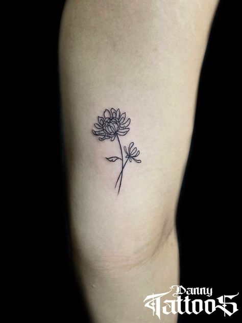 One Line Chrysanthemum Tattoo, Mini Chrysanthemum Tattoo, Chrysanthemum Tattoo Linework, Single Line Chrysanthemum Tattoo, Crisamthmum Tattoo, Chrysanthemum Small Tattoo, Chrysanthemum Simple Tattoo, Narcissus And Chrysanthemum Tattoo, Chrysanthemum Flower Tattoo Minimalist