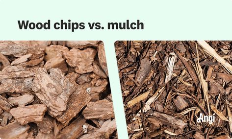 Wood Chips vs. Mulch: What’s the Difference? Wood Chip Landscaping Ideas, Bark Chips Landscaping, Cedar Chips Landscaping, Wood Chips Landscaping Ideas, Wood Chips Landscaping, Wood Chips Garden, Planting Grass Seed, Wood Chip Mulch, Tree Mulch