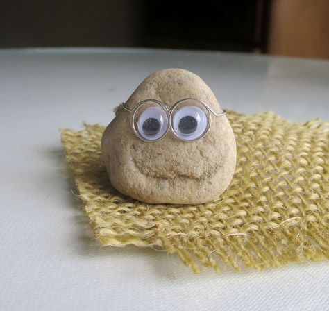 Wire Glasses, Pet Stones, Natural Smile, House On The Rock, Burlap Pillows, Pet Rocks, Stone Crafts, Wearing Glasses, Rock Painting Art