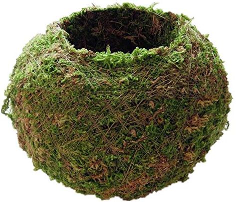 PRICES MAY VARY. GREAT DECORATION-Decorative moss pot Suitable for home furnishings, greening projects, flower nursery production, home gardening, balcony garden. HIGH QUALITY-Corrosion-resistant, self-absorbent, breathable, durable, degradable, water-saving and drought-resistant. MULTICAL USAGE--It can be hung indoors and outdoors, anti- radiation, purify the air, add green to live. DECOTATIVE MOSS POT-Natural Kokedama Flower Vase Flower Pot Creative Sphagnum Flower Holder Potted Hydrating Bons Japanese Moss Balls, Yellow Planter, String Garden, Moss Ball, Garden Plant Pots, Terracotta Plant Pots, Flower Pot Garden, Moss Balls, Flower Nursery