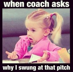 Funny Softball Quotes, Softball Memes, Softball Funny, Softball Quotes, Softball Life, Funny Horses, Horse Quotes, Funny Horse, Sports Memes