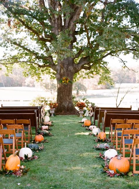 45 Fall Wedding Ideas For A Stunning Autumn Affair Fall Wedding Ceremony, Fall Wedding Diy, Pumpkin Wedding, Pretty Pumpkins, Outdoor Fall Wedding, Rustic Fall Wedding, Wedding Centerpieces Diy, Fall Wedding Decorations, Fall Wedding Colors