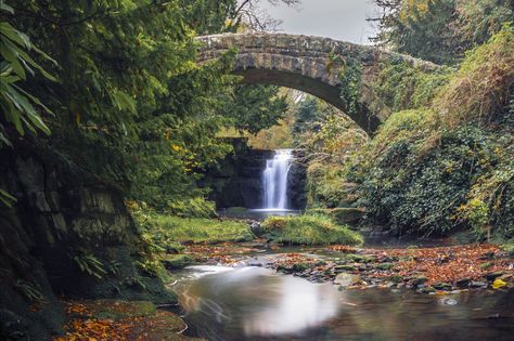 https://flic.kr/p/pxFtDE | Autumn at Jesmond Dene Waterfall | Taken early in the morning on a little walk through Jesmond Dene, Newcastle upon Tyne up near the waterfall and the little climb down to the river Ouseburn below at 10 second exposure. Jesmond Dene, North East England, Early In The Morning, Newcastle Upon Tyne, North East, Newcastle, The River, In The Morning, The Morning