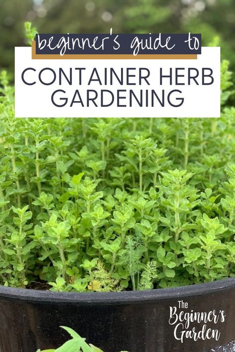 When I first started gardening, the sole reason I planted herbs was to save money. What I soon discovered, though, was the wide world of benefits to growing your own herbs — medicinal support… Herb Garden Inspiration, Medicinal Gardening, Garden Redesign, Herbs Medicinal, Herb Container, Herb Growing, Best Herbs To Grow, Gardening Herbs, Patio Gardening