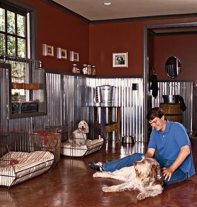 This is almost exactly what I want to do for my pets!!!  I don't like the brown.  I'd do gray with colors! Dogs Room, Groom Room, Kennel Ideas, Puppy Room, Cement Floors, Dog Room, Grooming Shop, Revere Pewter, Perfect Room