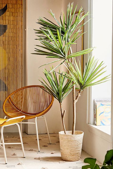 Best Faux Plants, Yucca Tree, Faux Cactus, Low Light Plants, Faux Tree, Interior Plants, Bohemian Living, Boho Interior, Living Wall