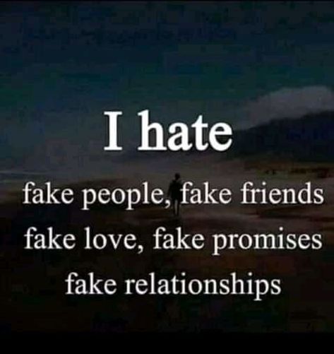 I hate fake people, fake friends, fake love, fake promises and fake relationships love life quotes quotes friendship life relationship fake people I Hate Fake People, Fake People, Love Life Quotes, Fake Friends, Fake Love, Relationships Love, Tumblr, Quotes