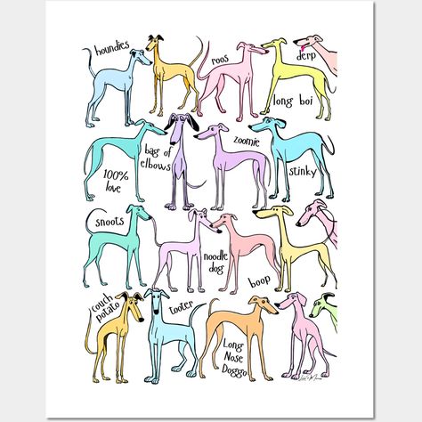 A glorious gang of gorgeous greyhounds! 19 adorable funny sighthounds and some cute hound specific language. A greyt group for all greyhound dog, galgo, whippet or iggy lovers. AI and digital art design. -- Choose from our vast selection of art prints and posters to match with your desired size to make the perfect print or poster. Pick your favorite: Movies, TV Shows, Art, and so much more! Available in mini, small, medium, large, and extra-large depending on the design. For men, women, and chil Whippet Illustration, Italian Greyhound Art, Whippet Art, Greyhounds Funny, Whippet Puppies, Greyhound Adoption, Greyhound Art, Greyhound Dog, Grey Hound Dog