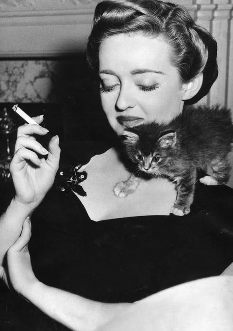 Celebrity Snapshots vol.1 - Cats and Celebs | HubPages 1940s Glam, Celebrities With Cats, Bette Davis Eyes, Cat Shaming, Anita Ekberg, Ingmar Bergman, Sigourney Weaver, Vincent Price, Vivien Leigh