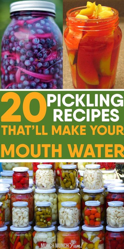 Unique homemade PICKLING RECIPES beyond the cucumber. Easy intro to canning with sweet and spicy appetizers like beets, onions, green beans, okra, carrots, zucchini, ginger and more. Perfect for salads, sandwiches or on their own. Stick them in your refrigerator or fridge to last longer. Give these recipes a try! Easy Vegetable Pickling Recipes, Refrigerator Pickled Veggies, Foods To Pickle, Beet Pickled Eggs Recipes, Asian Pickles Recipe, How To Make Pickled Vegetables, Pickled Salad Recipes, Sweet Pickled Green Beans, Best Pickling Recipes