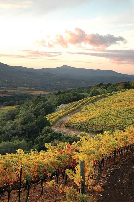 Mother Daughter Trip, Sonoma County California, Wine Vineyards, Sonoma California, Italy Wine, Sonoma Valley, Wine Country California, Foto Art, Sonoma County