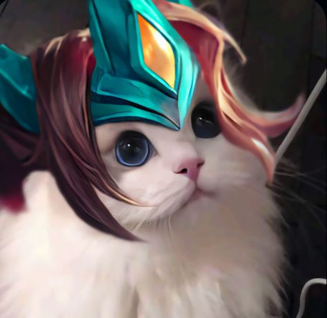 𝑴𝒍𝒃𝒃 𝒄𝒂𝒕 Mlbb Zilong Wallpaper, Zilong Mobile Legends Wallpaper, Zilong Wallpaper, Pp Mobile Legend, Mlbb Cat Icon, Zilong Mobile Legends, Zilong Mlbb, Mobile Legends Icon, Legend Cat