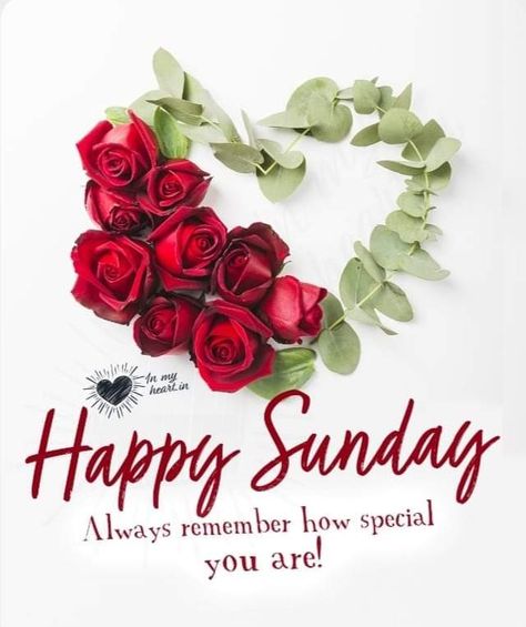 Z Wallpaper Letter Aesthetic, Happy Sunday Flowers, Happy Sunday Messages, Message For My Love, Sunday Morning Wishes, Good Morning Sister Quotes, Happy Sunday Images, Sunday Rose, Good Morning Sunday Images