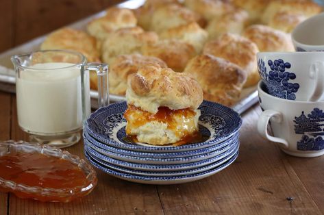 The Secret To Scones: Maggie's Kitchen Diary | Maggie Beer Soda Breads, Maggie Beer, Rock Cakes, Apricot Jam Recipes, Cross Buns Recipe, Hot Cross Buns Recipe, Sweet Buns, Scones Recipe, Biscuit Bake