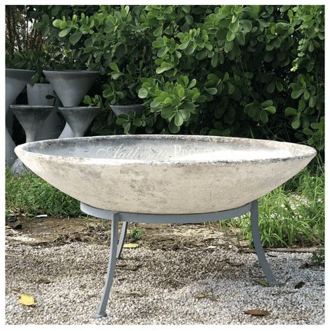 Willy Guhl Saucer Planter | One of a Kind Planters | Authentic Provence | Fine Garden Antiques Shallow Planter Ideas, Large Bowl Planters, Plant Shelves Outdoor, Shallow Planters, Garden Antiques, Concrete Plant Pots, Contemporary Planters, European Garden, Concrete Bowl