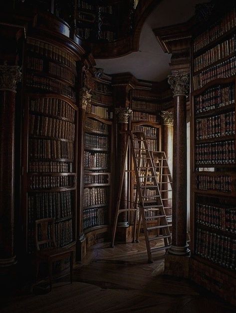 England Aesthetic, Dark Acadamia, Dream Library, Beautiful Library, Old Library, Library Room, Library Aesthetic, Hogwarts Aesthetic, Morgan Library