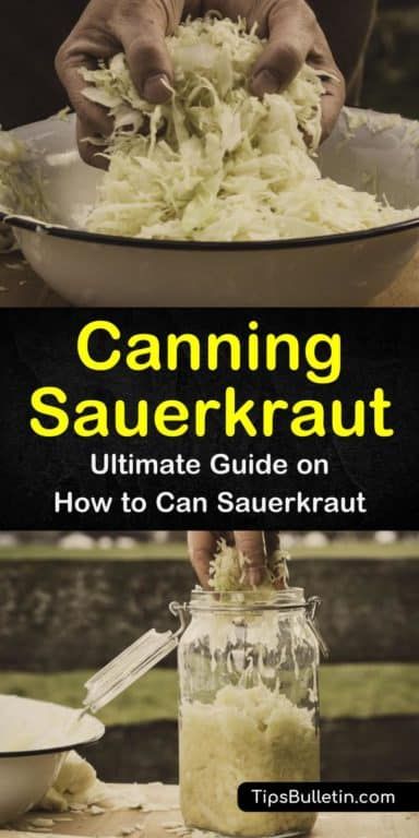 Canning Sauerkraut In Jars, Canning Homemade Sauerkraut, Saurkraut Recipes Mason Jar, How To Can Sauerkraut Mason Jars, Water Bath Canning Sauerkraut, How To Can Sour Kraut, Canning Sauerkraut Recipes Mason Jars, Saurkraut Recipes Canning, Canning Kraut In Jars