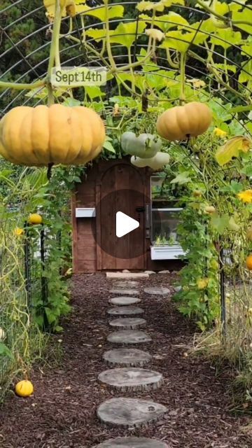 If you are a passionate gardener (or want to become one) on the link in my bio you can find recent gadgets that will help you grow your home garden without being skilled or experienced in this industry! PS. it's also amazing home decor! credits:home_kitchen_garden_ Cattle Panel Greenhouse, Vine Fence, Milk Baths, Cattle Panels, Pumpkin Vine, Summer Front Porches, Front Porch Ideas Australia, Greenhouse Plants, Fence Posts