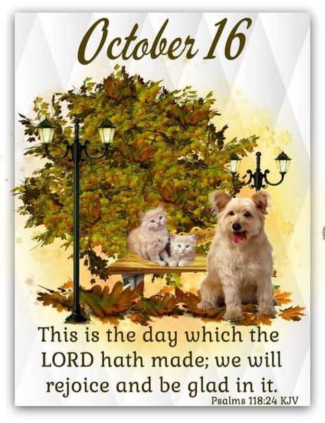 Monday October 16, 2017. October 16 Blessings, October 16 Bible Verse, October Blessings, December Scriptures, Tree Poem, October Quotes, October Calendar, 10 October, Good Morning Happy Sunday