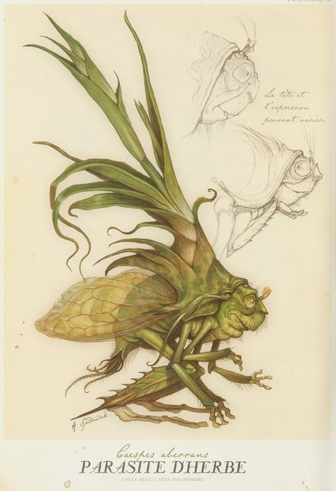 The Spiderwick Chronicles - Parasite Dherbe Tony Diterlizzi, Spiderwick Chronicles, Creature Fantasy, Forest Creatures, Creature Feature, Mythological Creatures, Mystical Creatures, Arte Fantasy, Creature Concept