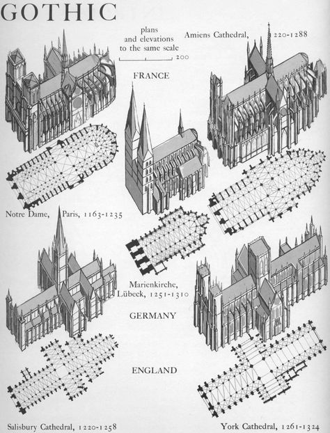 History Of Architecture, Architecture Antique, Istoria Artei, Plans Architecture, Gothic Cathedrals, Cathedral Architecture, Architecture History, European Architecture, Architectural Styles