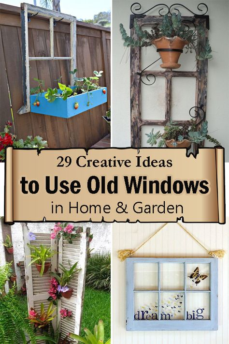 Recycled Old Windows Ideas, Outside Window Frame Ideas, Old Windows Repurposed Outdoors Garden Ideas, Windows In Gardens Repurposed, What To Make Out Of Old Windows, Used Windows Ideas, Using Old Windows To Decorate Outside, Old Window Decor Outdoor, Old Window Frames Garden