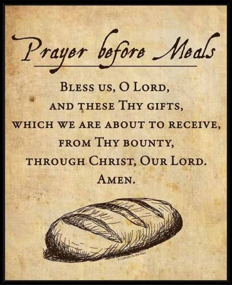 Prayer Before Meal - Thanksgiving Prayer Before Meal - Daily Morning Prayer - Catholic Prayers Grace Before Meals Prayer, Meals Ministry, Grace Before Meals, Prayers Before Meals, Mealtime Prayers, Food Prayer, Dinner Prayer, Daily Morning Prayer, Catholic Prayers Daily