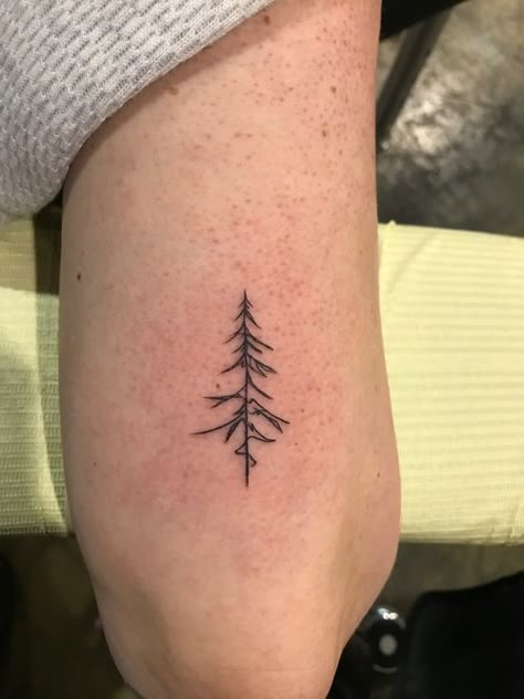 Single Line Pine Tree Tattoo, Ornamental Tree Tattoo, 3 Lines Tattoo, Fine Line Pine Tree Tattoo, Line Tree Tattoo, Simple Pine Tree Tattoo, Fine Line Nature Tattoo, Minimalist Tree Tattoo, Tree Tattoo Simple