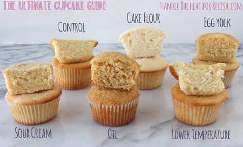 The Ultimate Cupcake Guide shows how different ingredients and techniques make cupcakes light, greasy, fluffy, dense, crumbly, or moist! from Handletheheat.com Ultimate Cupcake Recipe, Cookie Shop, Bread Puddings, Cupcakes Ideas, Baking 101, Beautiful Cupcakes, Donut Shop, Baking Ideas, Cake Decor