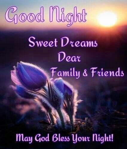 Sweet Dreams Dear Family & Friends quotes family friends sweet dreams good night blessings Nighty Night Quotes, Good Night Sister, Good Night Family, Friends Are Family Quotes, Good Night My Friend, Good Night Prayer Quotes, Sibling Quotes, Sleep Quotes, Night Blessings