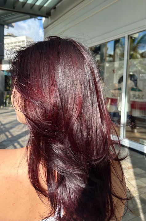 Cherry Red Hair Colors That Will Turn Heads Red Purple Hair, Cherry Hair Colors, Wine Hair Color, Cherry Red Hair, Wine Red Hair, Red Hair Inspo, Wine Hair, Cherry Hair, Hair Tint