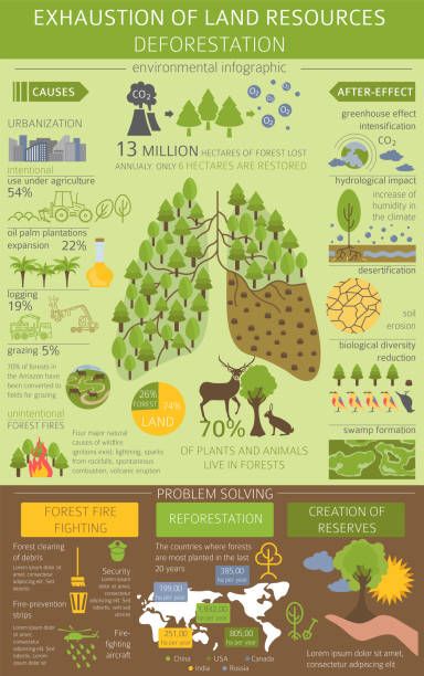 9,807 Erosion Icon Stock Photos, Pictures & Royalty-Free Images - iStock Deforestation Poster, Land Resources, Rainforest Deforestation, Zoo Education, Environmental Posters, Strategy Infographic, Environmental Problems, Scientific Poster, Infographic Layout