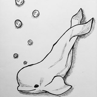 Beluga Whale Drawing Easy, Cute Beluga Whale Drawing, Beluga Drawing, Simple Whale Drawing, Beluga Whale Drawing, Beluga Whale Tattoo, Beluga Whale Art, Cute Little Sketches, Blue Whale Drawing