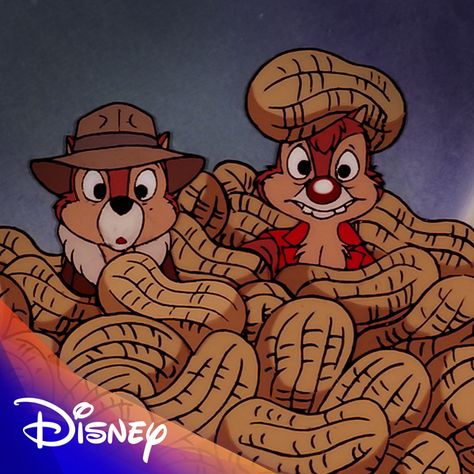 Chip And Dale Rescue Rangers, Lyrics Happy, Chip N Dale Rescue Rangers, Disney Afternoon, Rescue Rangers, Chip N Dale, Black Color Hairstyles, Color Hairstyles, Chip And Dale