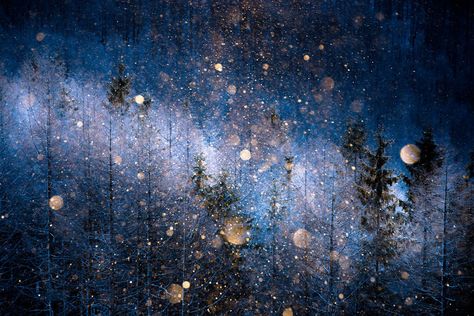 Masayasu Sakuma, Japan (Open Competition, Nature) Sony World Photography Awards, Large Photography, Double Exposition, Saul Leiter, Diamond Dust, Photography Competitions, Photography Contests, World Photography, Photography Awards