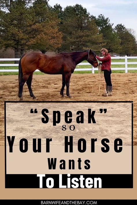 Breaking Horses, Breaking A Horse, Horses Training, Horse Hacks, Fun Activites, Owning A Horse, Horse Training Exercises, Horse Whisperer, Horse Ownership