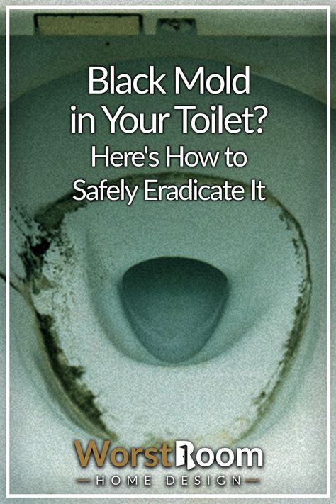 Black Mold in Your Toilet? Here's How to Safely Eradicate It Vinegar In Toilet Tank, Cleaning Toilet Tank, Kill Black Mold, Best Toilet Bowl Cleaner, Expensive Glasses, Clean Black Mold, Toilet Bowl Ring, Remove Black Mold, Toilet Bowl Stains