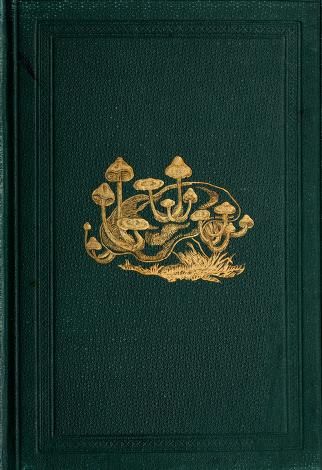 British fungi (hymenomycetes) : Stevenson, John, d. 1893 : Free Download, Borrow, and Streaming : Internet Archive Vintage Book Cover Wallpaper, Gilded Book Cover, Book Cover Wallpaper, Green Book Cover, Old Book Covers, Old Book Cover, Book Cover Art Design, Diary Cover, Vintage Book Cover