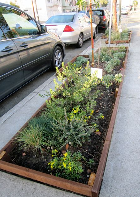 Sidewalk Trees Landscaping Ideas, Road Verge Landscaping, Park Strip Landscaping Ideas, Sidewalk Garden Ideas, Parkway Landscaping, Curb Garden, School Landscaping, Verge Garden, Sidewalk Garden