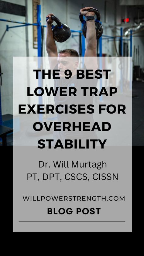 In this article, we will discuss nine effective exercises that target the lower traps, helping you build the strength and stability needed for optimal overhead performance. Lower Trap Exercises, Trap Exercises, Effective Exercises, Mobility Exercises, Build Strength, Health Coaching, Strong Core, Everyday Activities, Health Coach