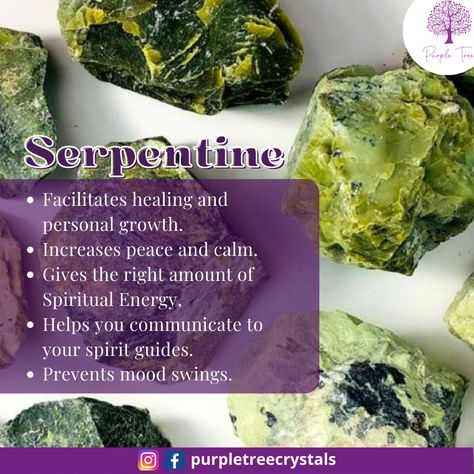 Serpentine Crystal Meaning, Serpentine Meaning, Crystals Properties, Chakra Opening, Serpentine Crystal, Kundalini Energy, Serpentine Stone, Crystal Properties, Purple Trees