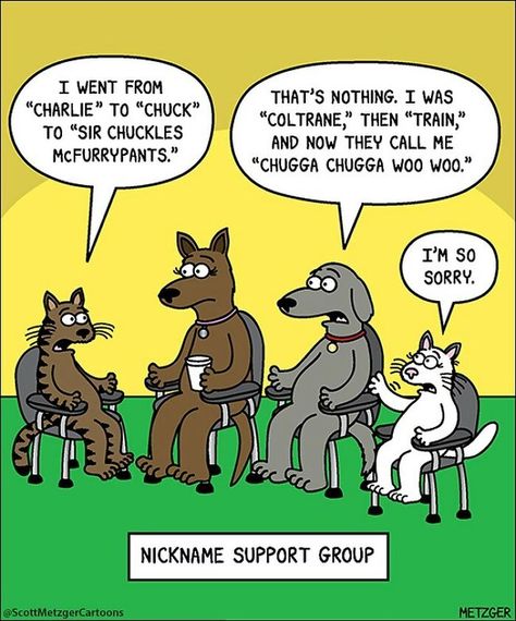 Dog Comics, Cat Jokes, Single Humor, Cat Comics, Animal Antics, Animal Jokes, Cartoon Dog, Dog Quotes, Support Group