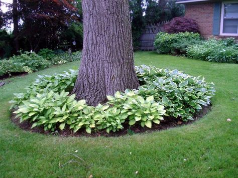 15 Beautiful Ideas For Decorating The Landscape Around The Trees Narrow Landscaping Ideas Side Garden, Patio And Lawn Ideas, Large Yard Landscaping, Mailbox Landscaping, Landscaping Around Trees, Backyard Trees, Small Front Yard Landscaping, Desain Lanskap, Yard Landscape