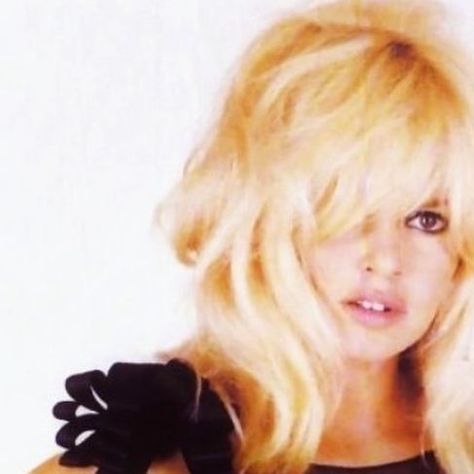 Brigitte Bardot Fan Page on Instagram: "Good evening! 🌼 #brigittebardot #hair #fashion" Hair Fashion, Beauty Icons, Brigitte Bardot, Good Evening, Fan Page, Fan, Hair, On Instagram, Beauty