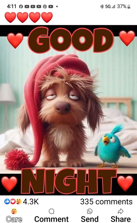 Funny Good Night Pictures, Verknipte Humor, Night Hug, Night Humor, Funny Good Night, Sleep Quotes Funny, Funny Good Night Images, Goodnight Images, Good Night Hug