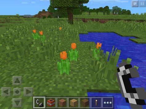 Because I am a FREAKING nerd, I was playing minecraft, and I found some ORANGE TULIPS, and I thought #TFIOS!! Playing Minecraft, Orange Tulips, How To Play Minecraft, Tulips, Minecraft, Golf Courses, Orange, Art