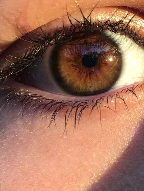 Brown eyes Dark Hazel Eyes Aesthetic, Pretty Brown Eyes Aesthetic, Dark Hazel Eyes, Green Brown Eyes, Hazel Brown Eyes, Brown Eyes Aesthetic, Eyes Aesthetic, Pretty Brown Eyes, Cute Eyeshadow Looks